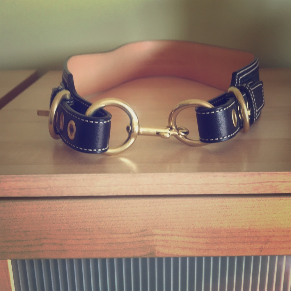 Coach belt